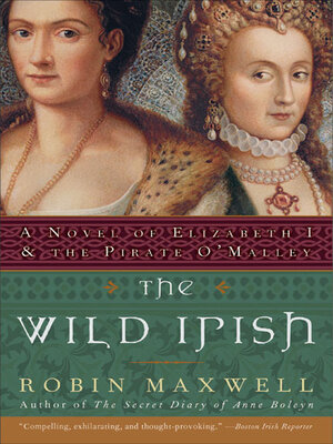 cover image of The Wild Irish